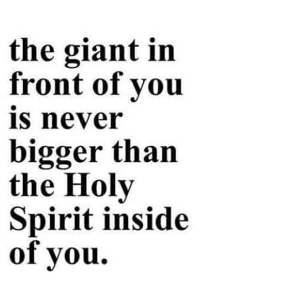 Meet your Posher, Jan - Picture 1 of 1